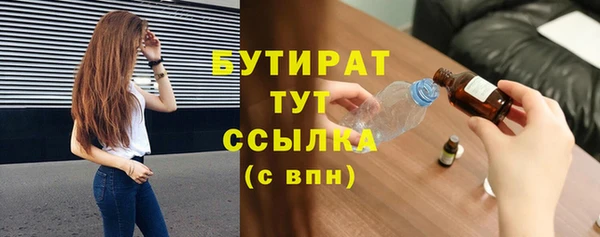 прущие грибы Аркадак