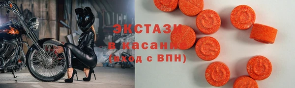 прущие грибы Аркадак