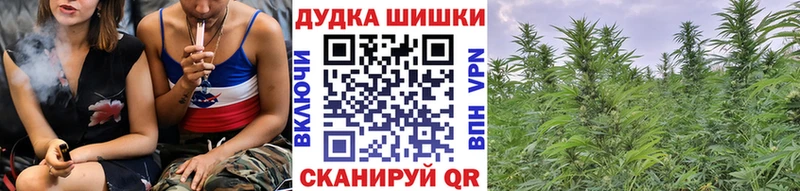 где можно купить наркотик  Пересвет  Каннабис марихуана 